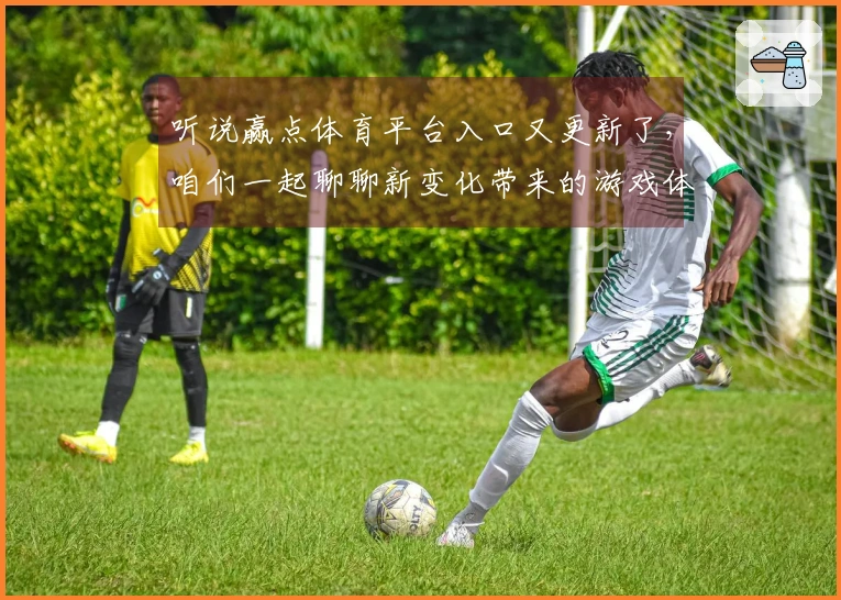 听说赢点体育平台入口又更新了，咱们一起聊聊新变化带来的游戏体验吧！