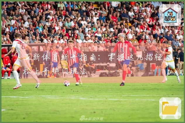 亚新体育新手指南：掌握这几招轻松上手热门玩法